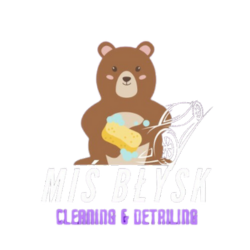 Miś Błysk - Autodetailing Łańcut | Rzeszów